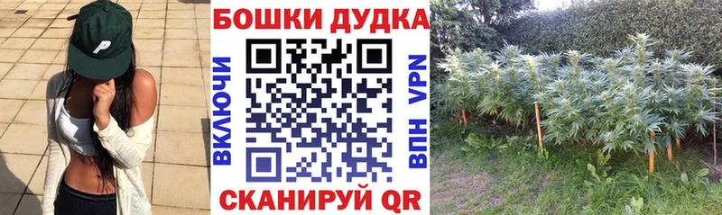 Где купить наркотики Электрогорск Каннабис  Меф мяу мяу 