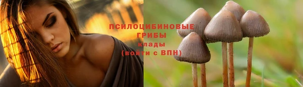 герыч Богданович