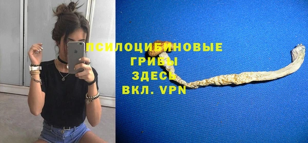 спайс Богородск