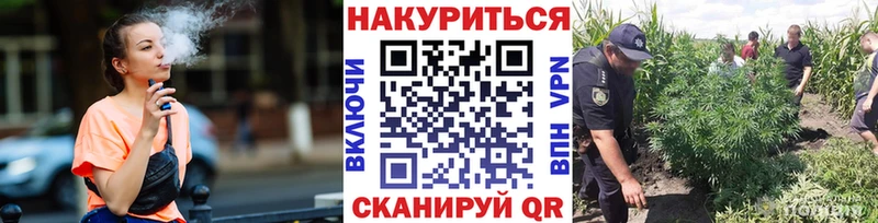 Бошки Шишки Amnesia  Электрогорск 
